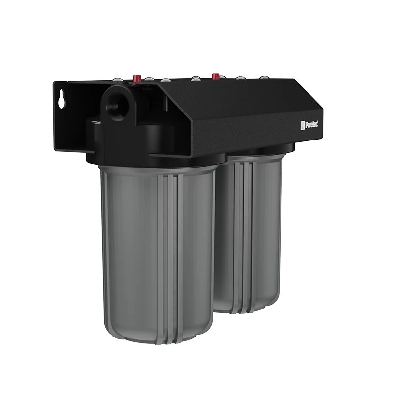 Whole House Rainwater Filter 1" conn, 10" Lge Dia, PL05MP1 + DP10MP1 incl, 60 lpm