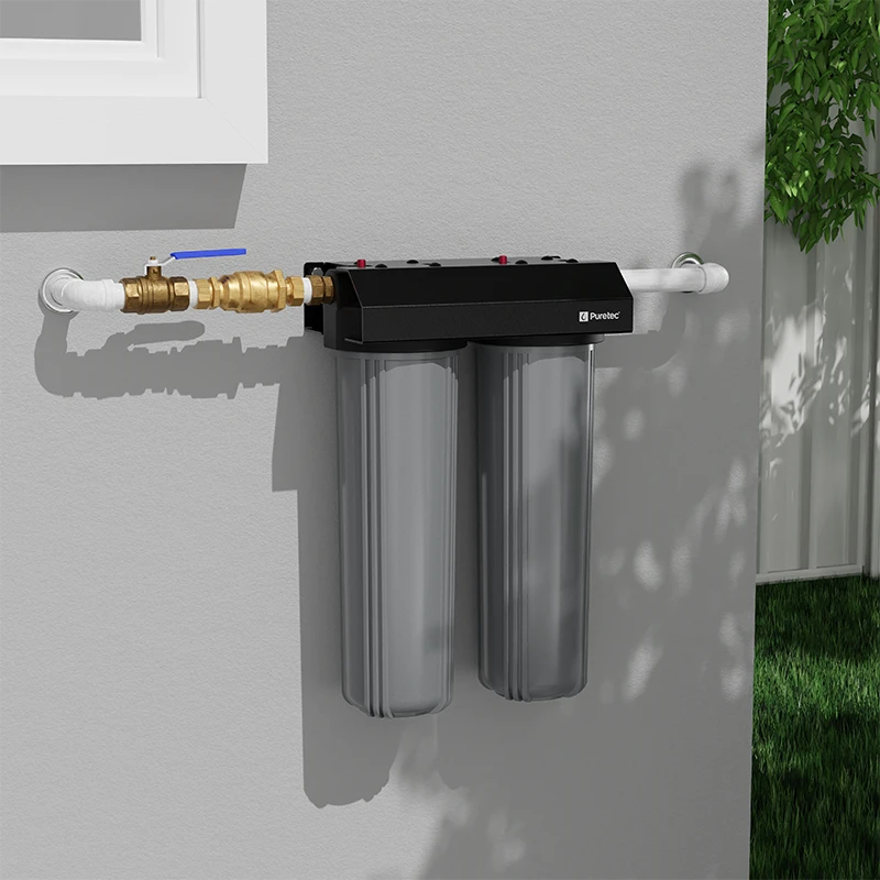 Whole House Dual System,20 inch MaxiPlus, with PX05MP2 and CB10MP2